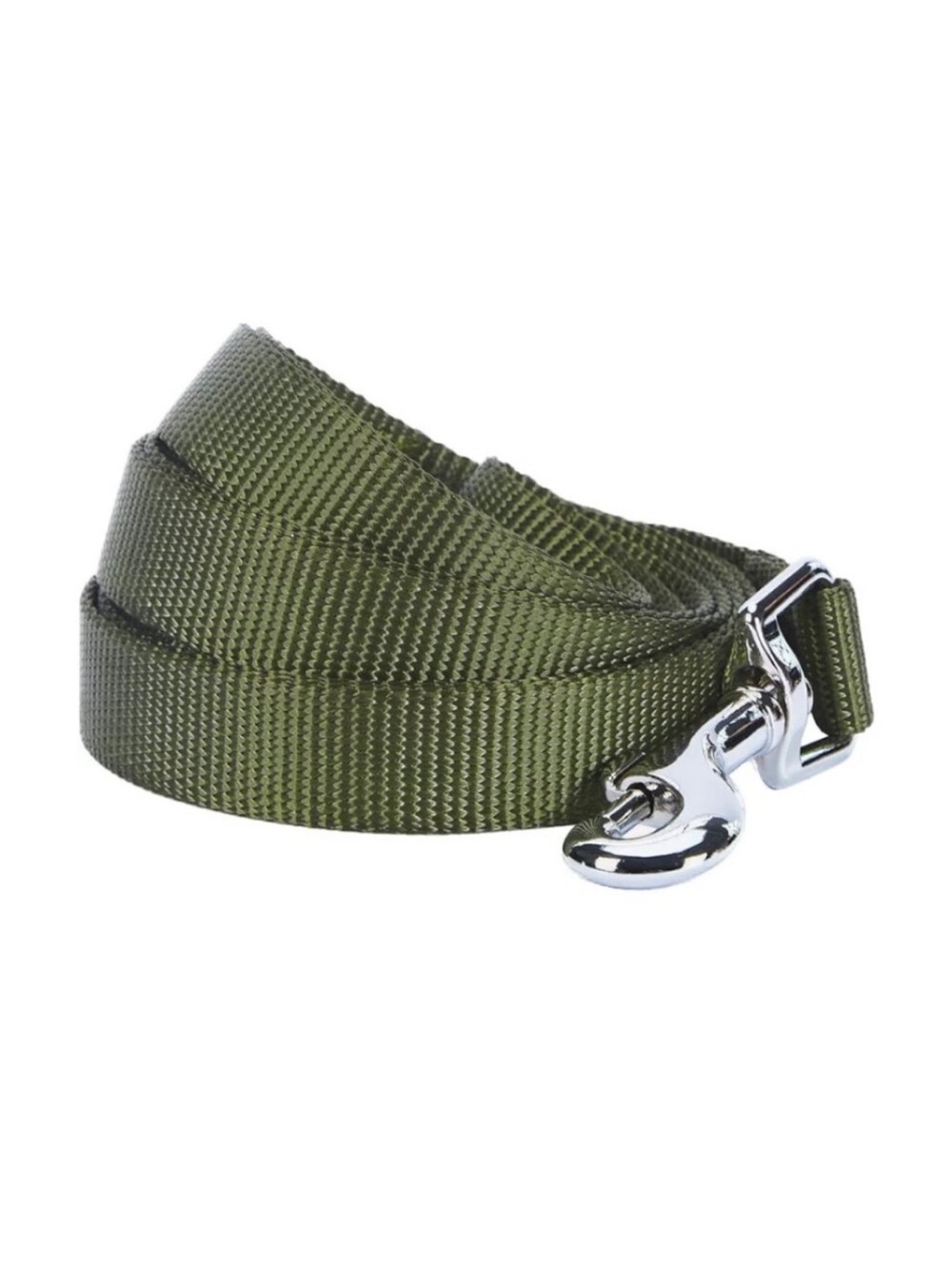 Blueberry Pet Essentials Small Dog Leash 5' x 5/8" Military Green